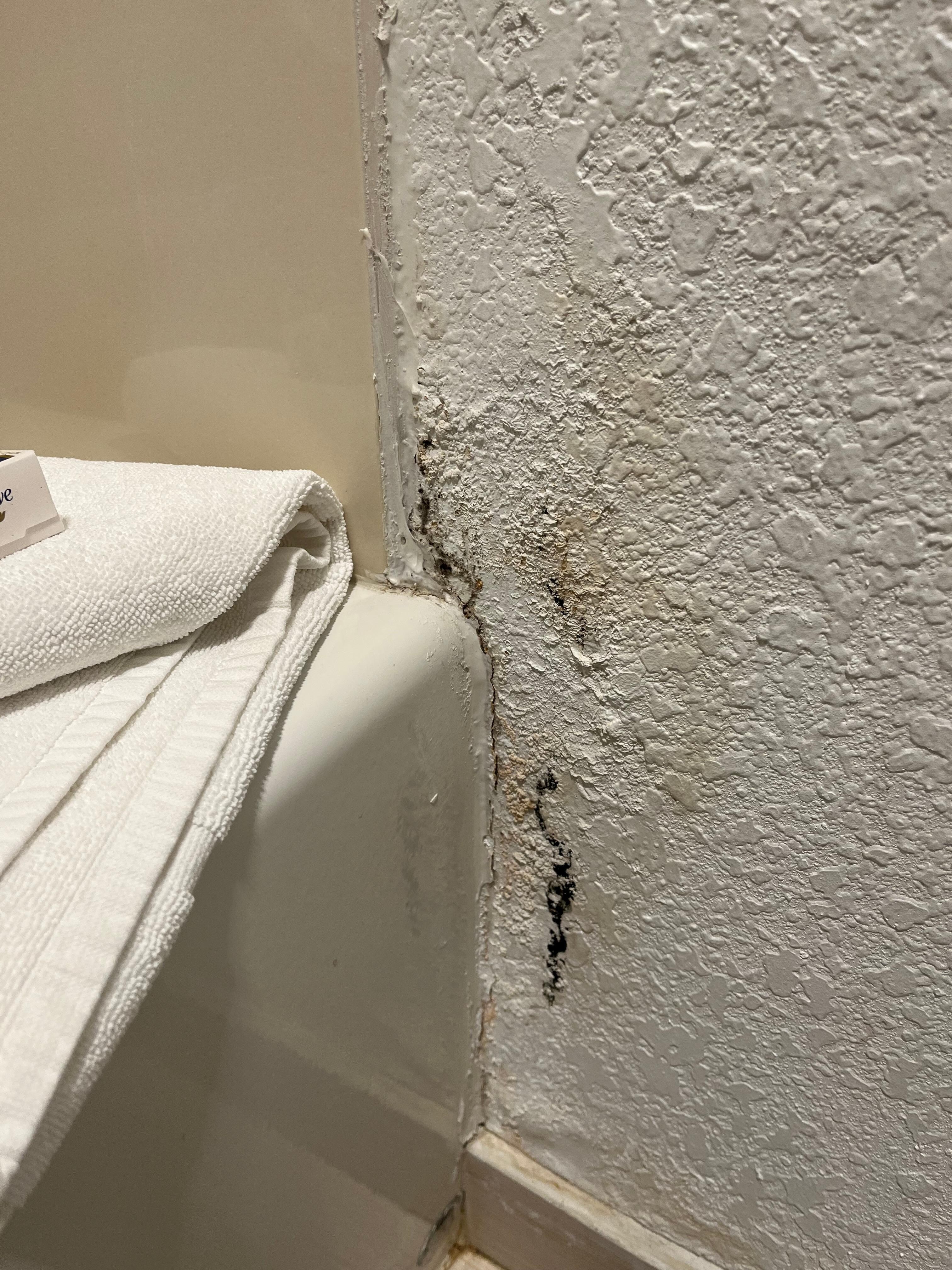 Mold by shower with a clean towel next to it