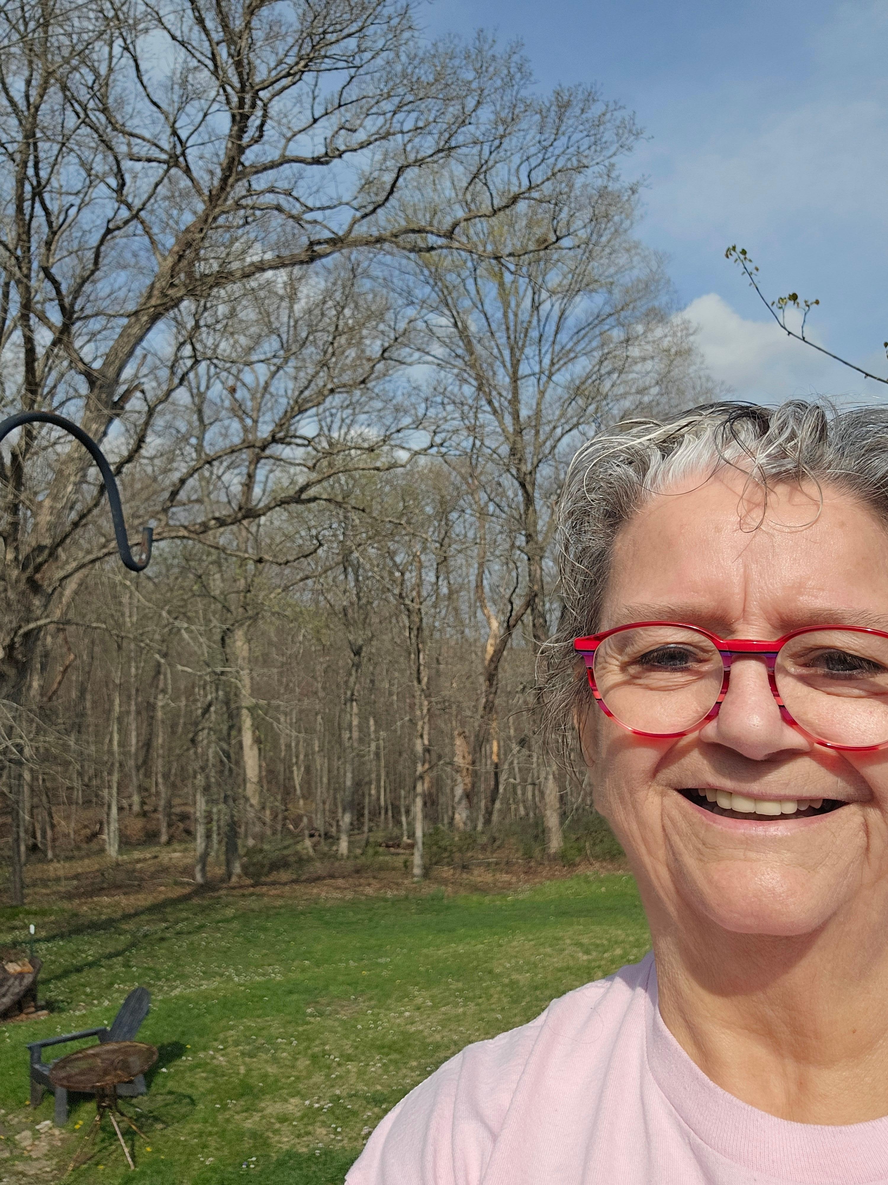 Photo off deck showing trees.
