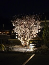 Wish tree