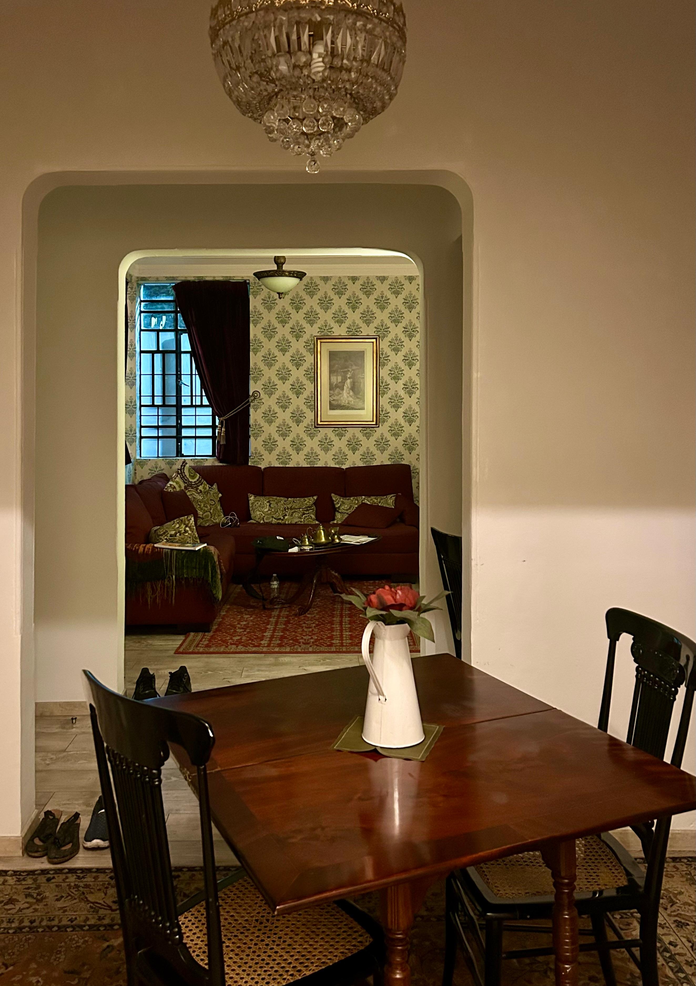 View from the kitchen to the living room