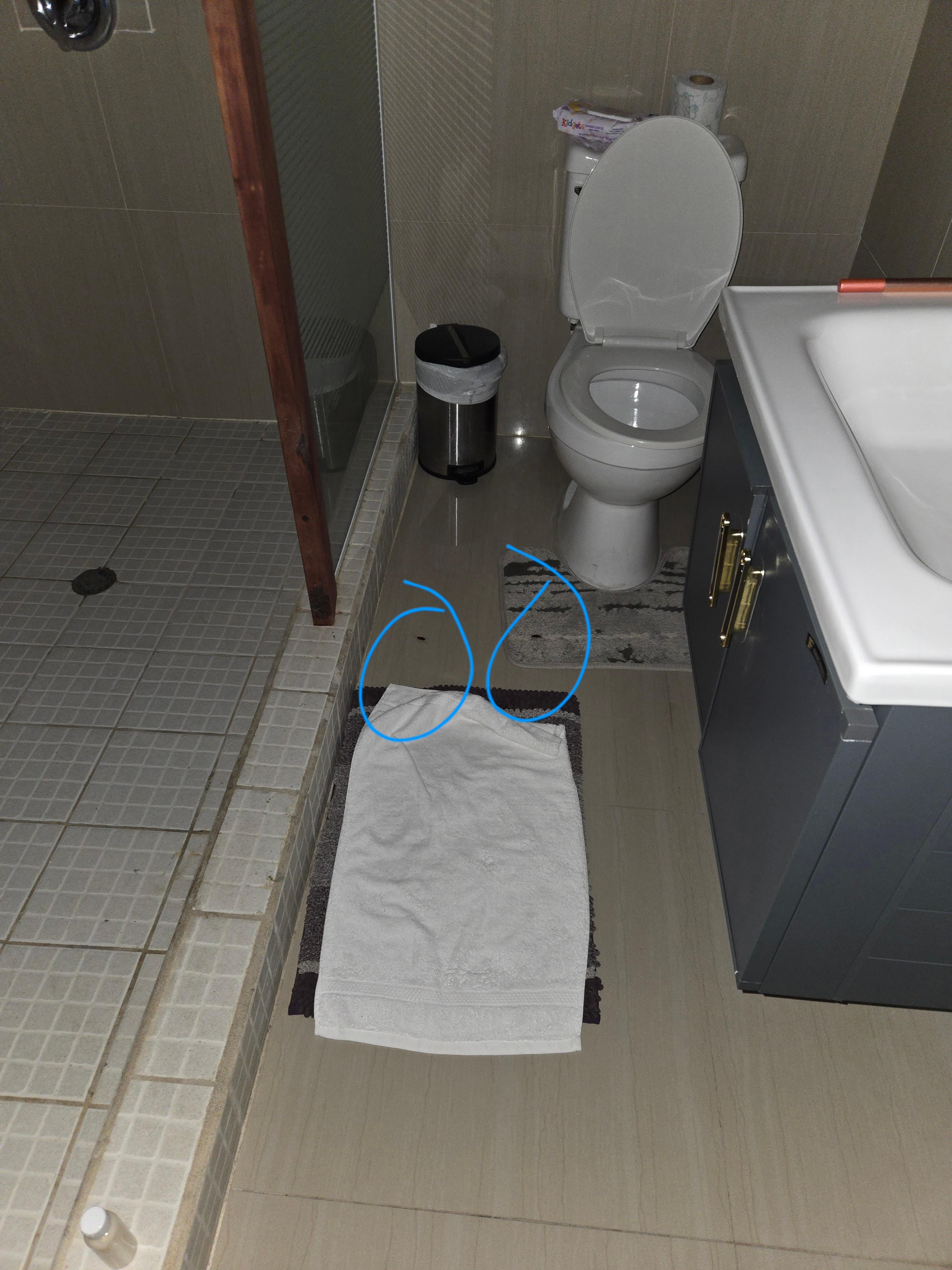 Roaches in the bathroom