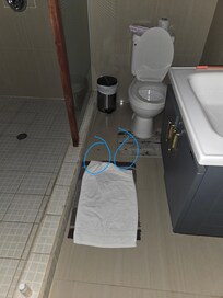 Roaches in the bathroom