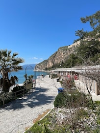 The beach, walking distance from the house