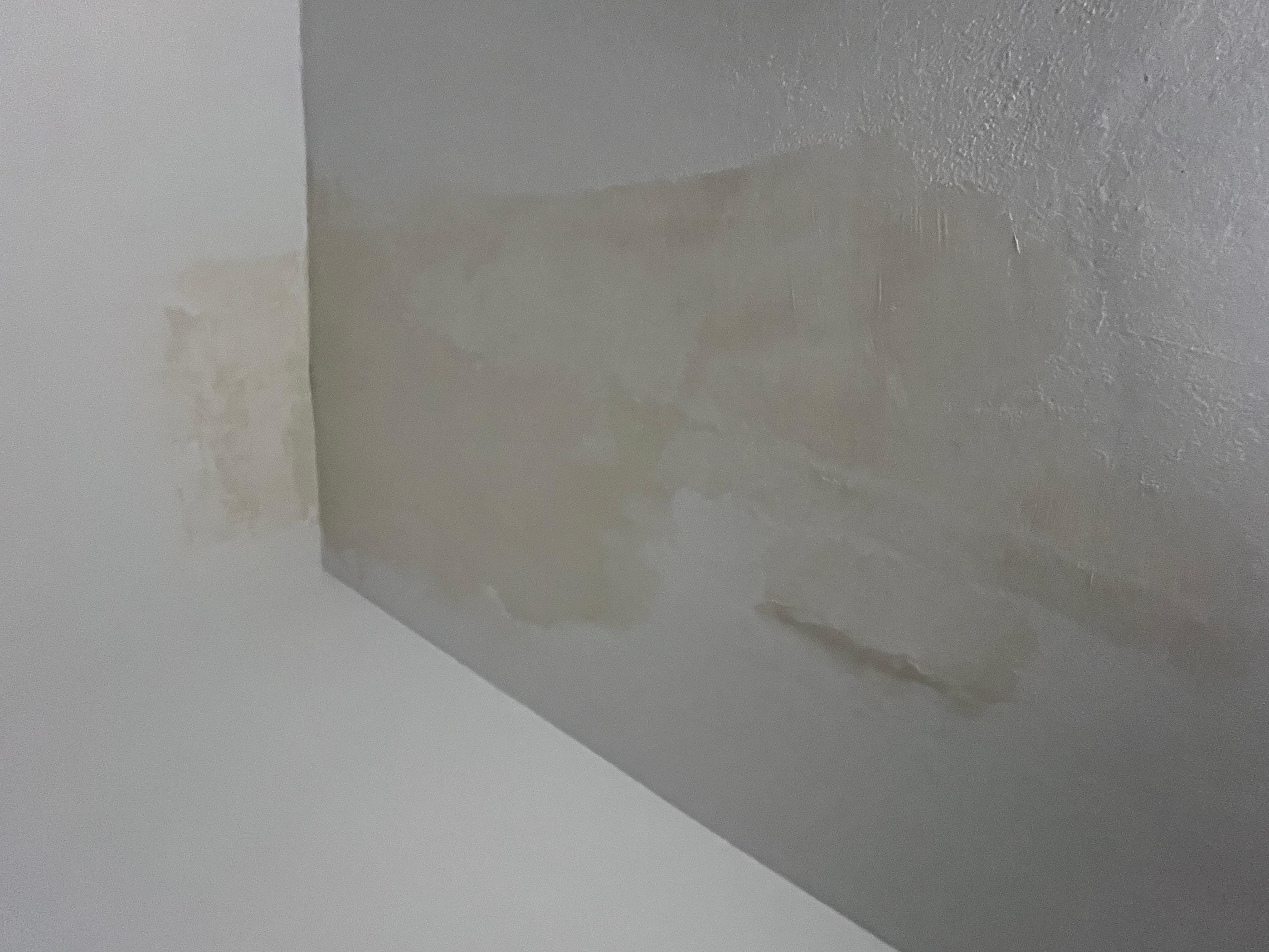 Ceiling stains 