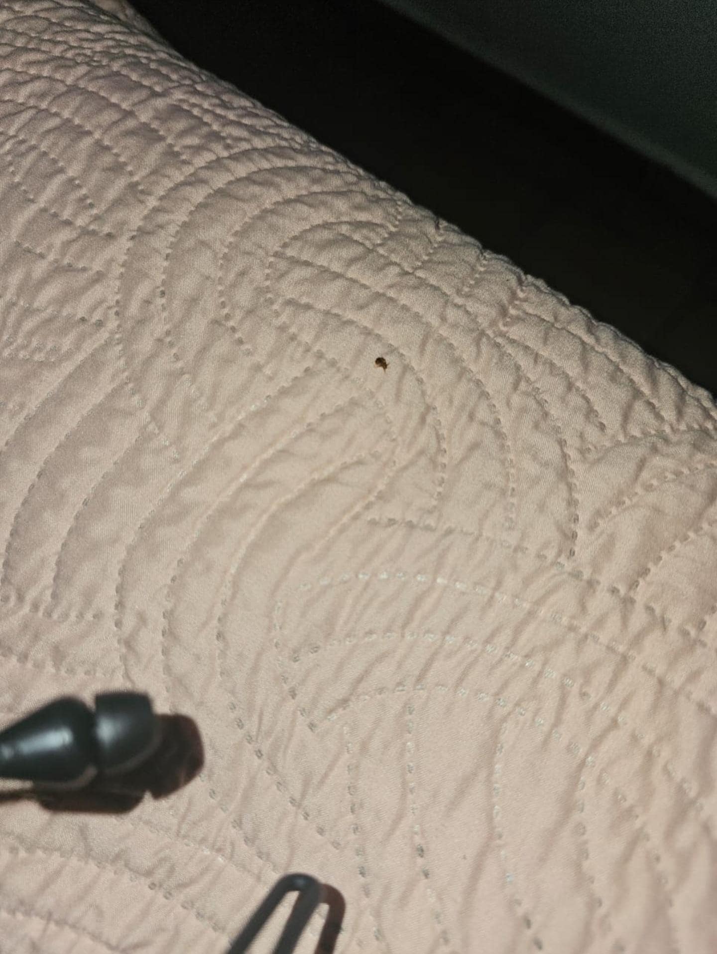 Esa chiche la tenía en el brazo cuando desperte! 