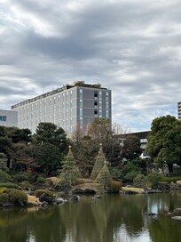 Hotel from nice gardens across road