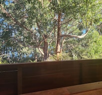 Back deck
