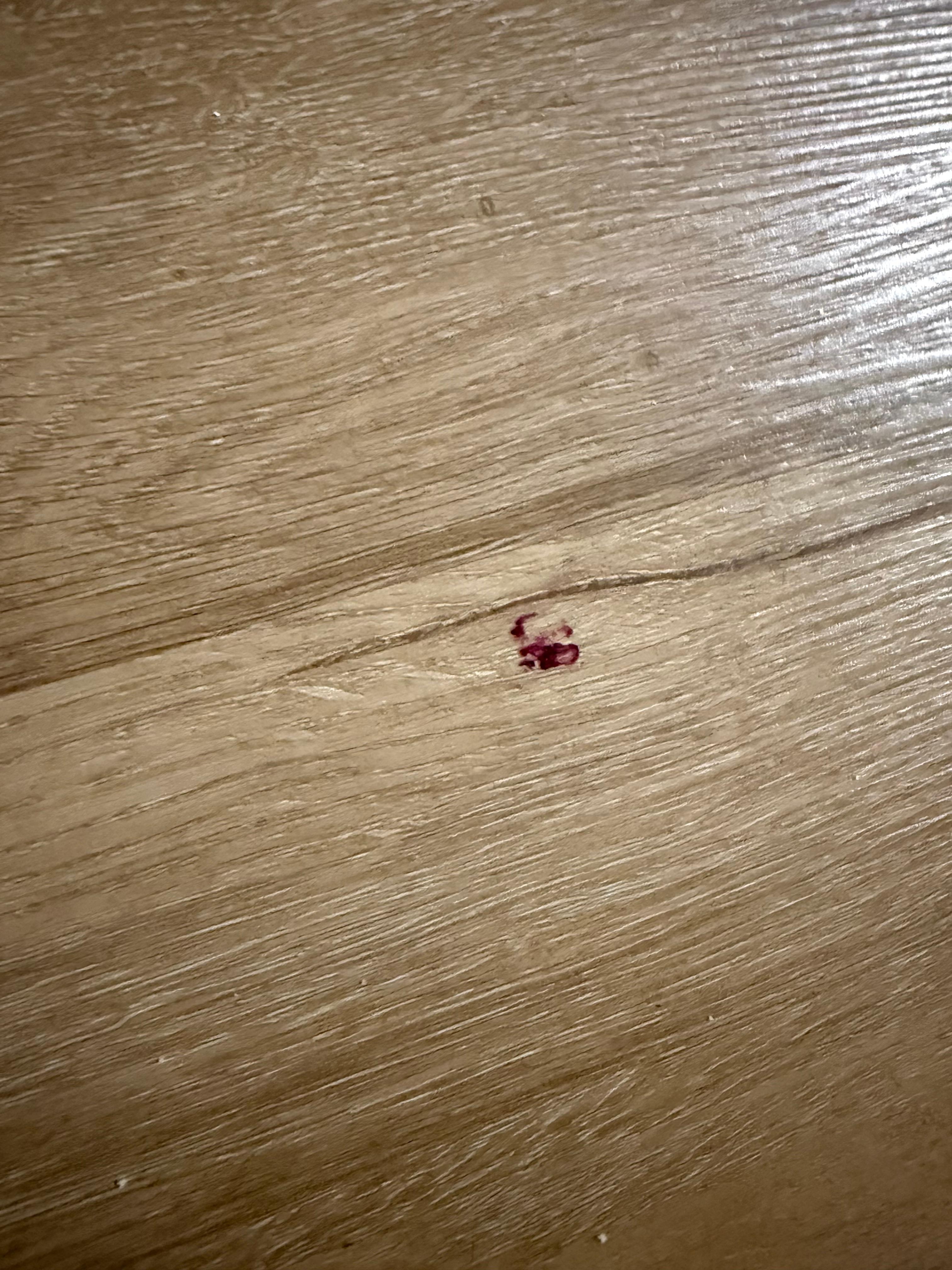 What seem to be a blood stain