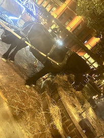 Downtown