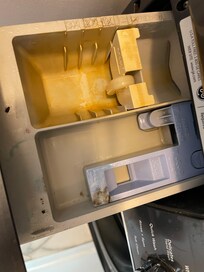 See the mild in the washer soap dispenser? Huge area of mold. It smelled too
