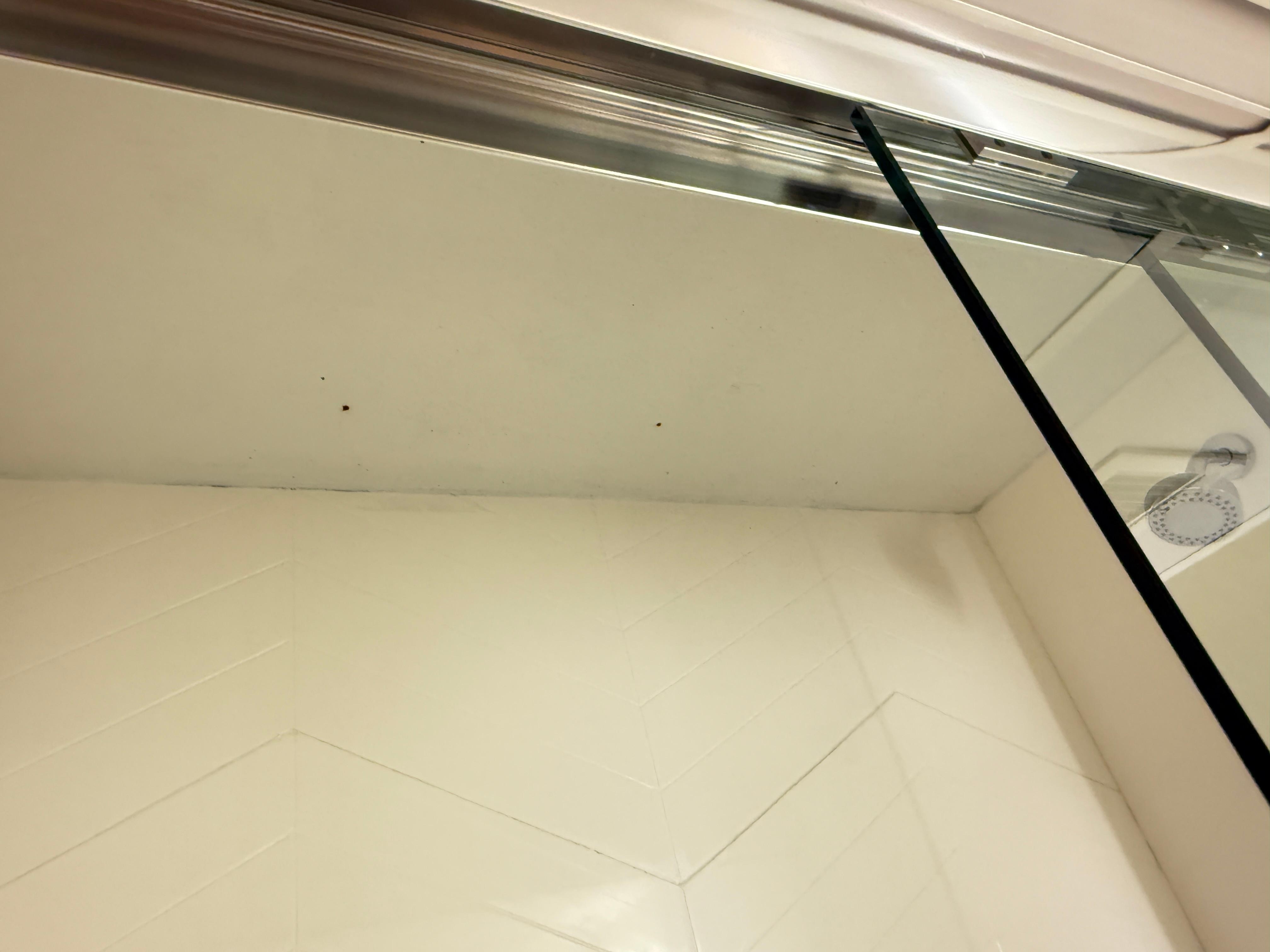 Bathroom shower ceiling