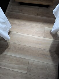 Gross floors (this is even after housekeeping had come in)