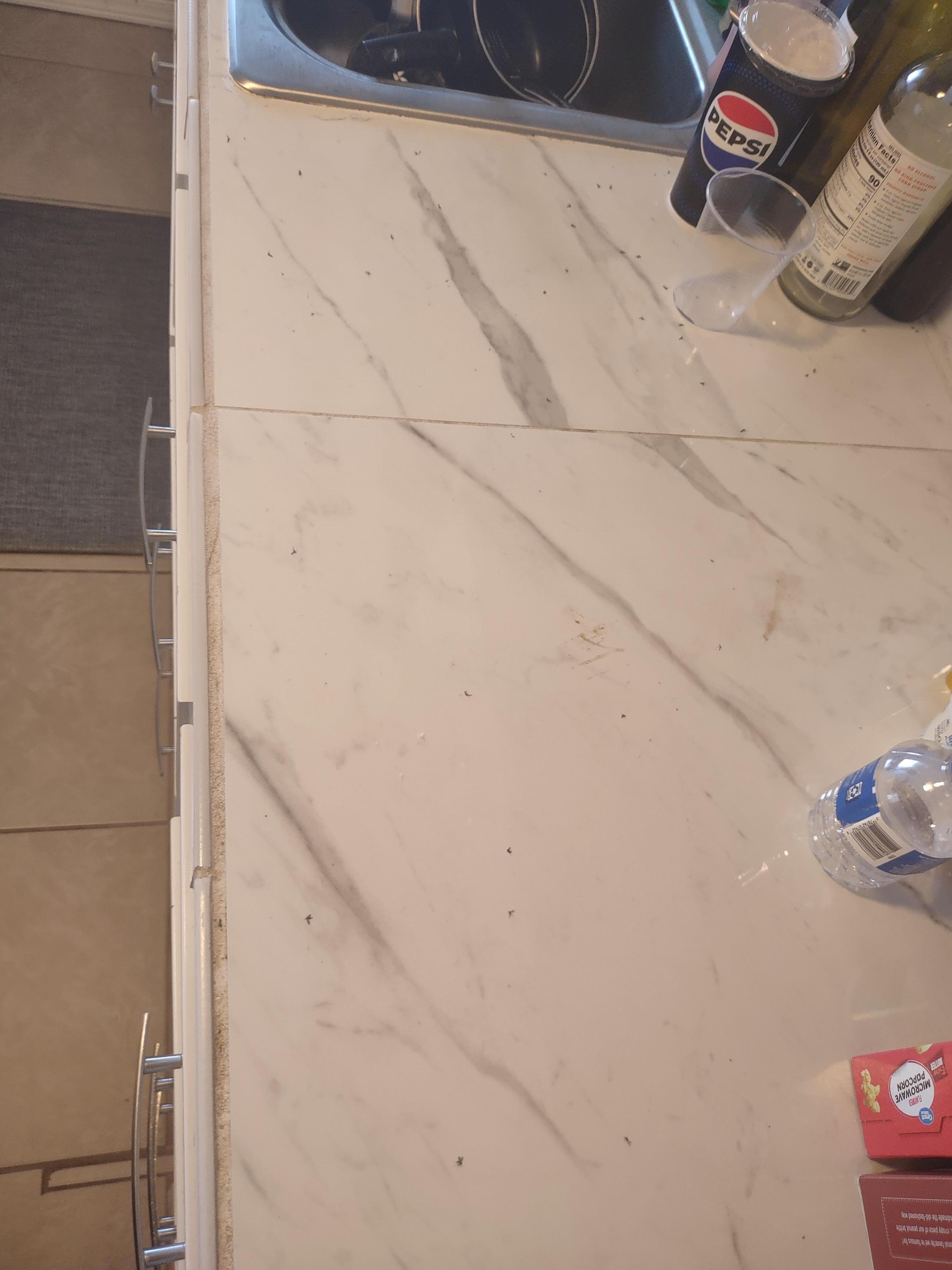 June 17th morning. Right side Kitchen counter top.