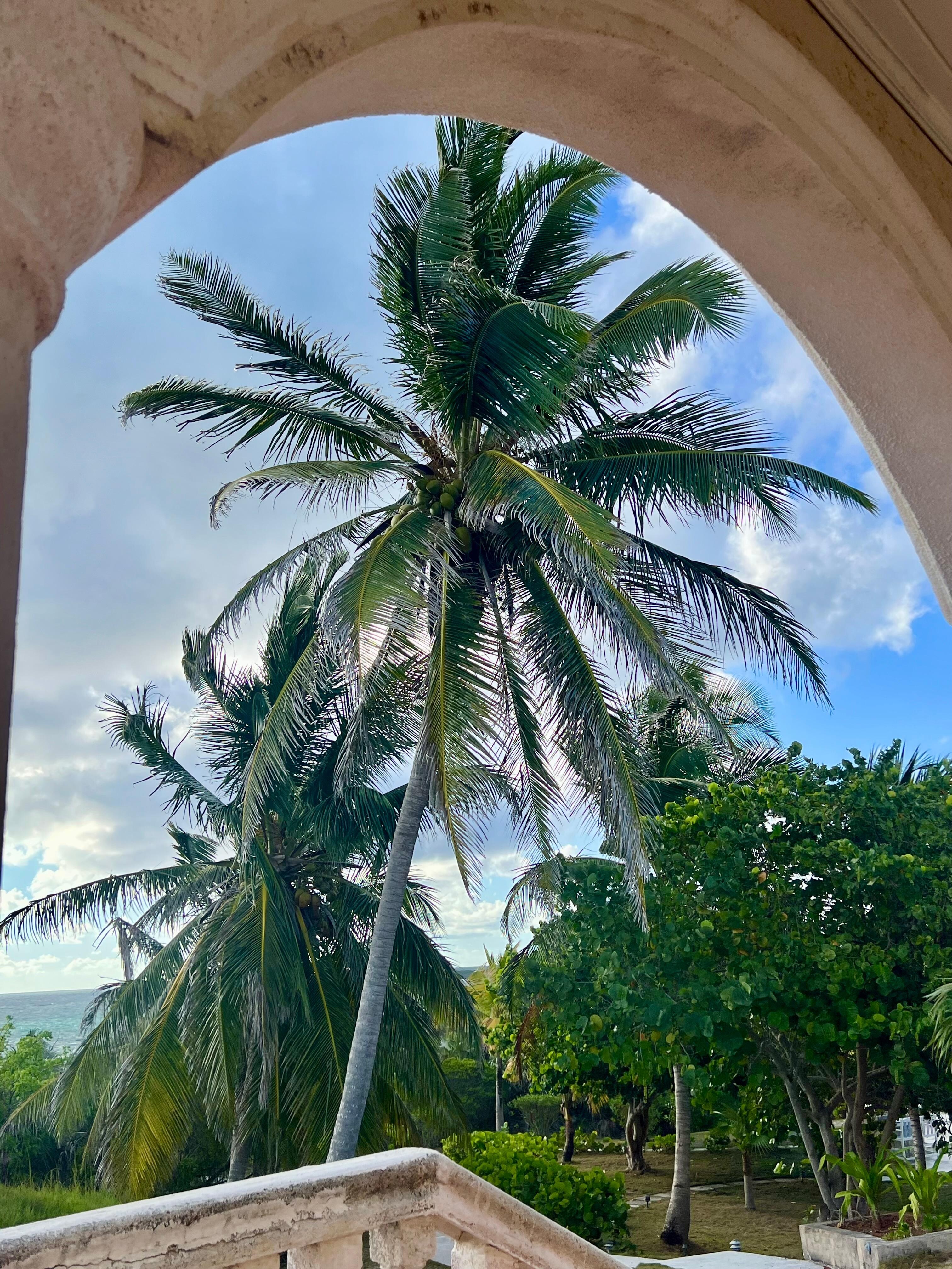 View from patio of Main House