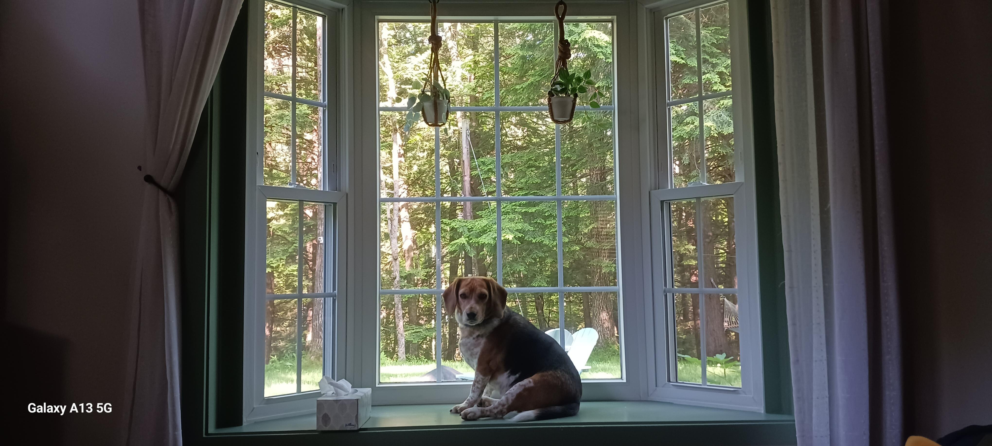 She loved the bay window!
