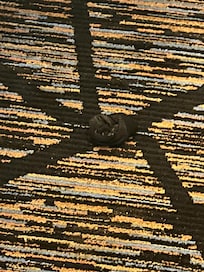 Sock left on the floor.