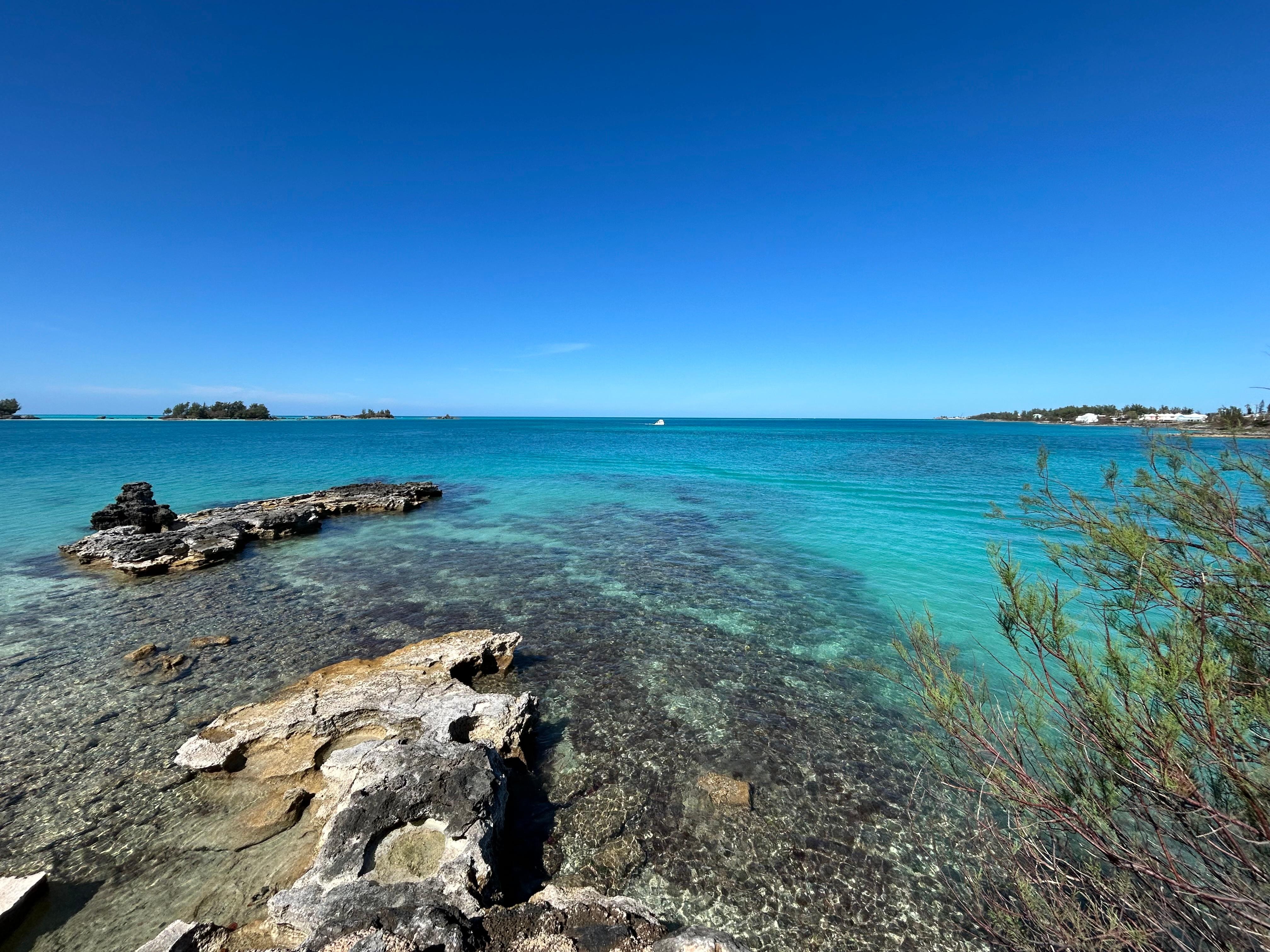 Little cove out front. 