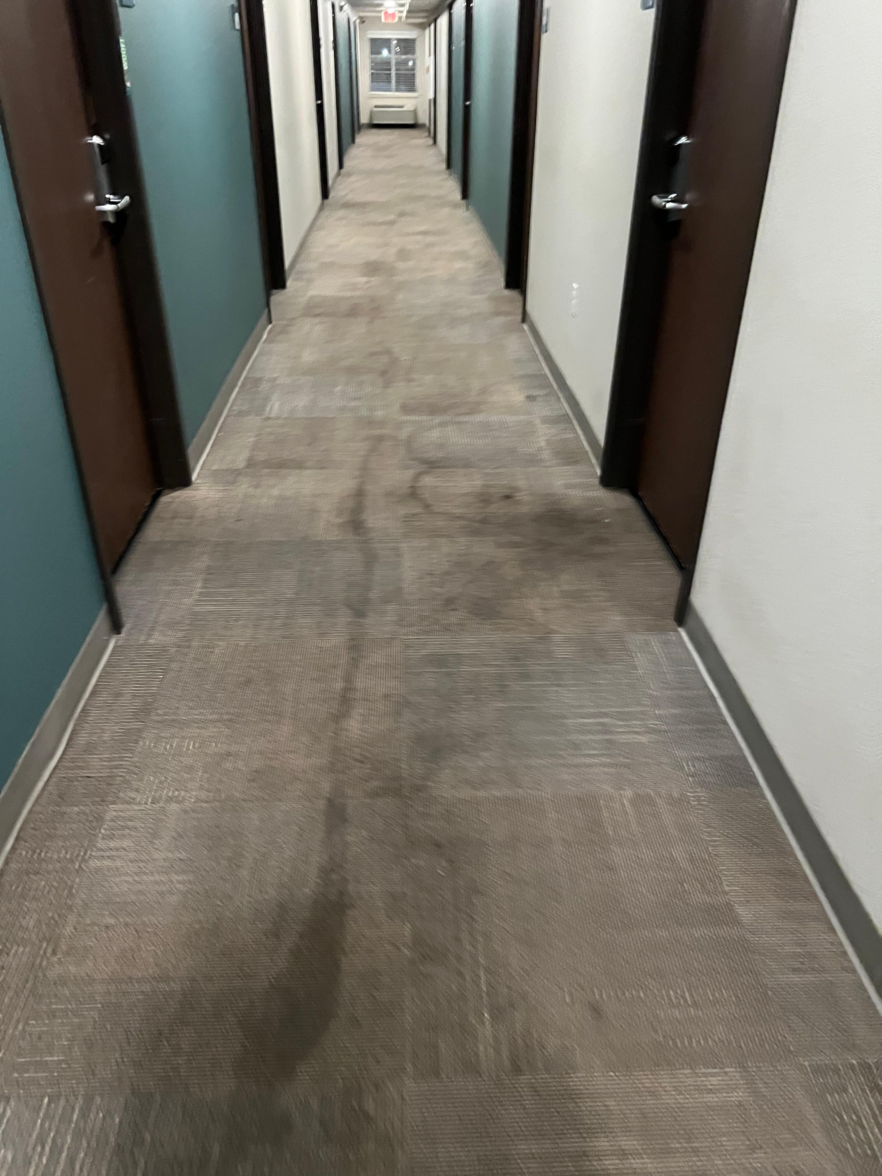 Hallway carpet stained. I never heard anyone vacuum it.