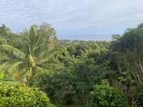 The view 😍