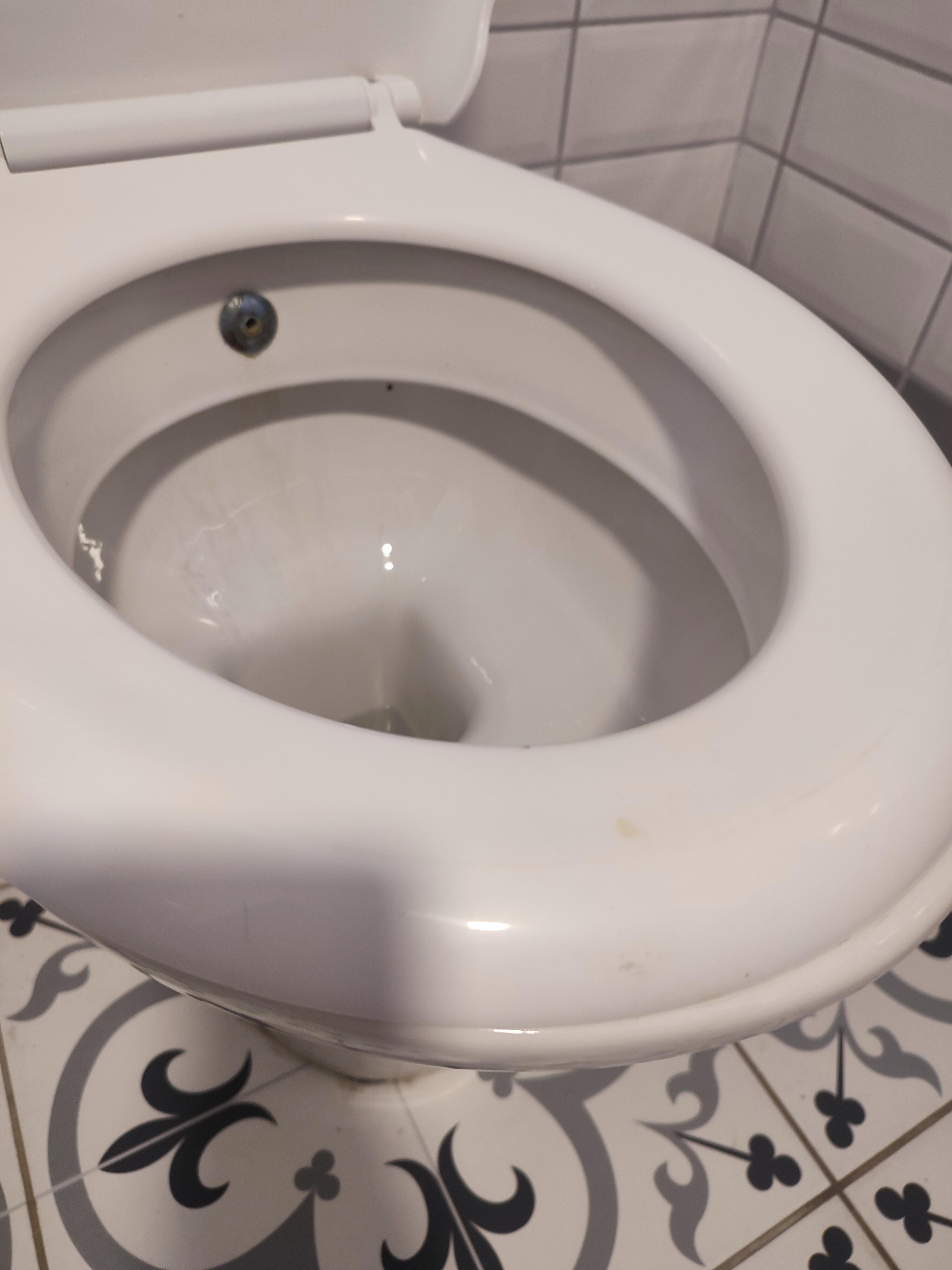 2.verdikleri odada sidik lekesi var