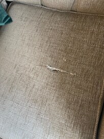 Ripped sofa cushions