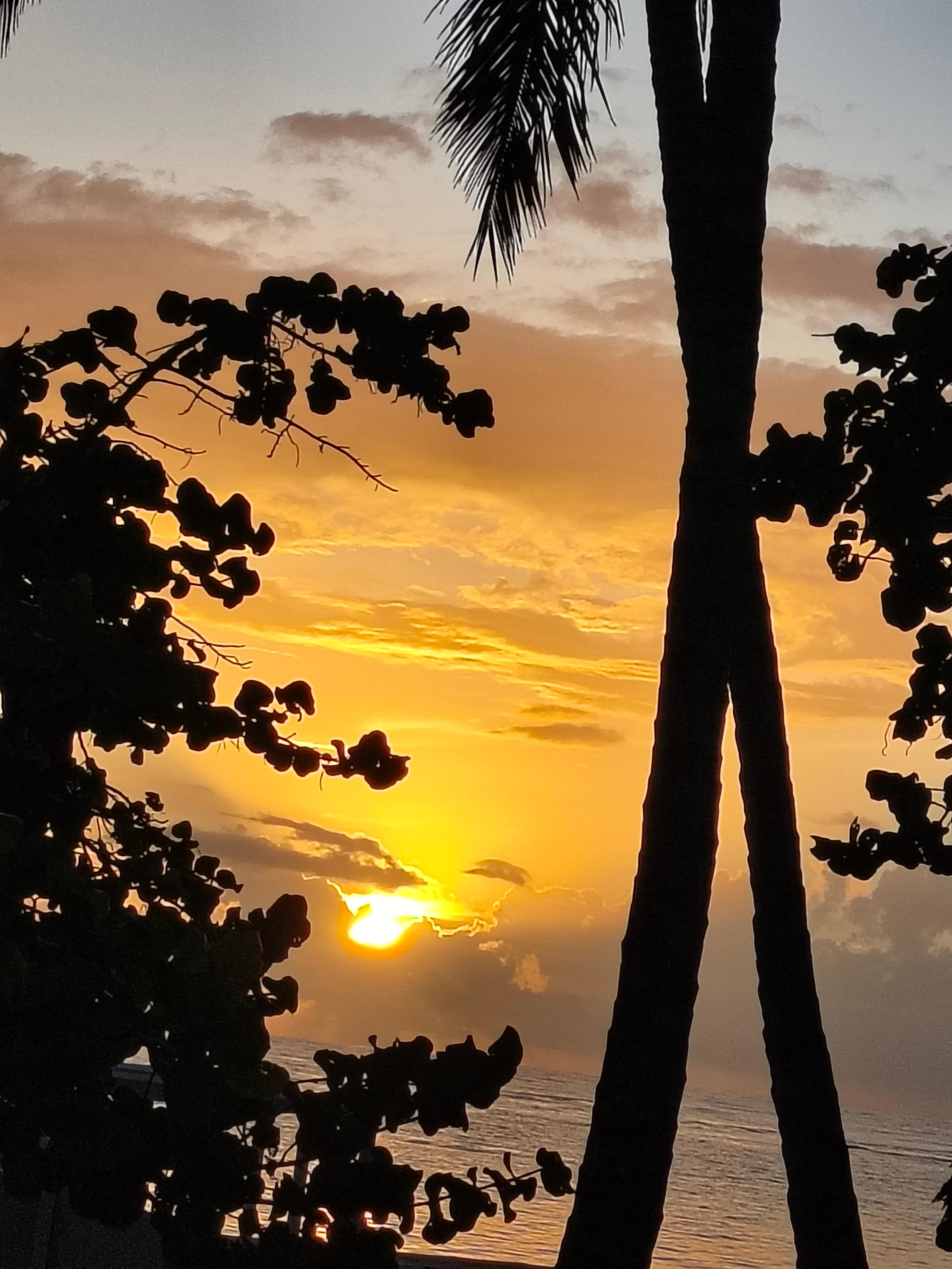 Sunrise from my room