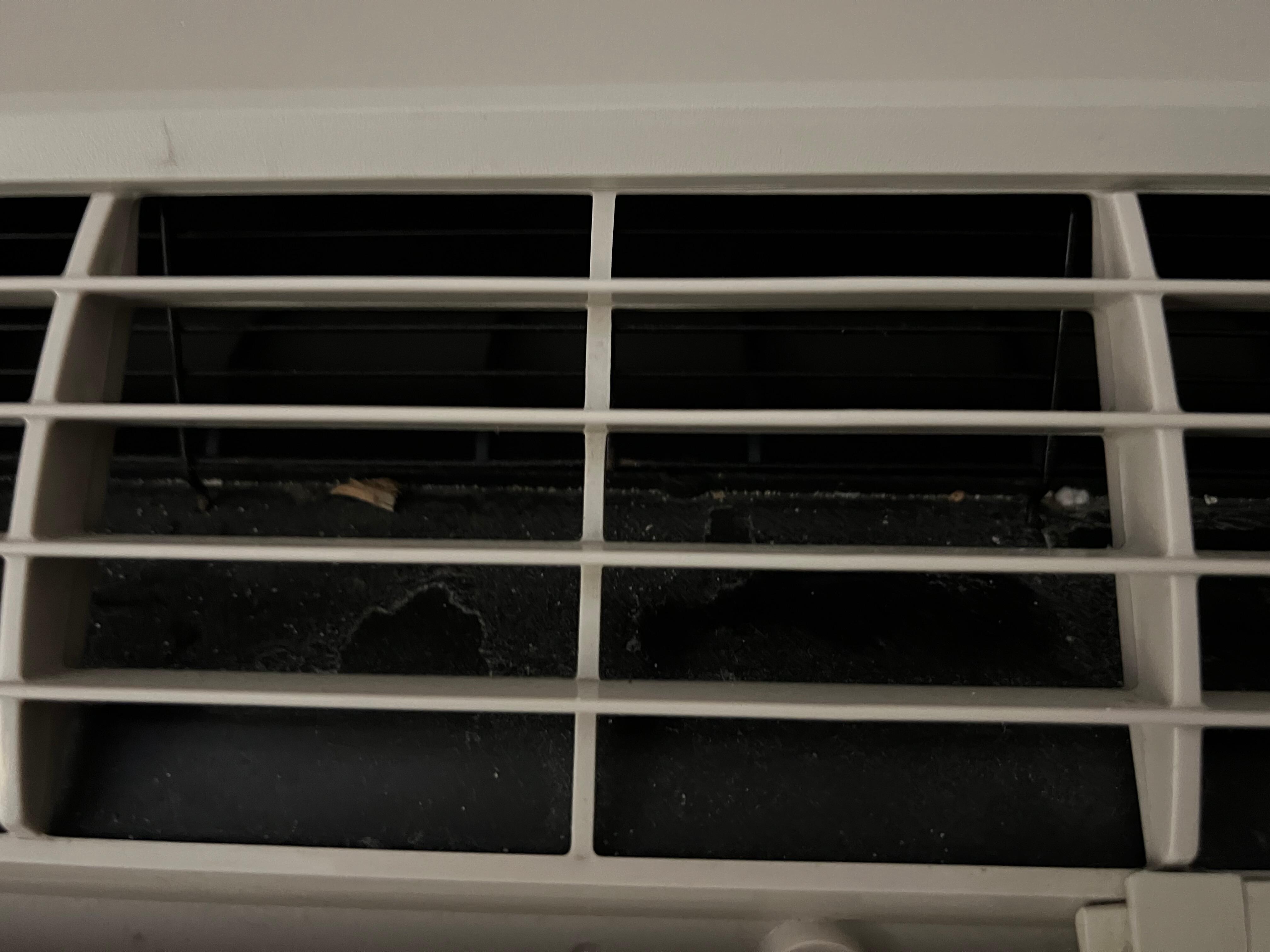 Dirt / bugs in broken air conditioner