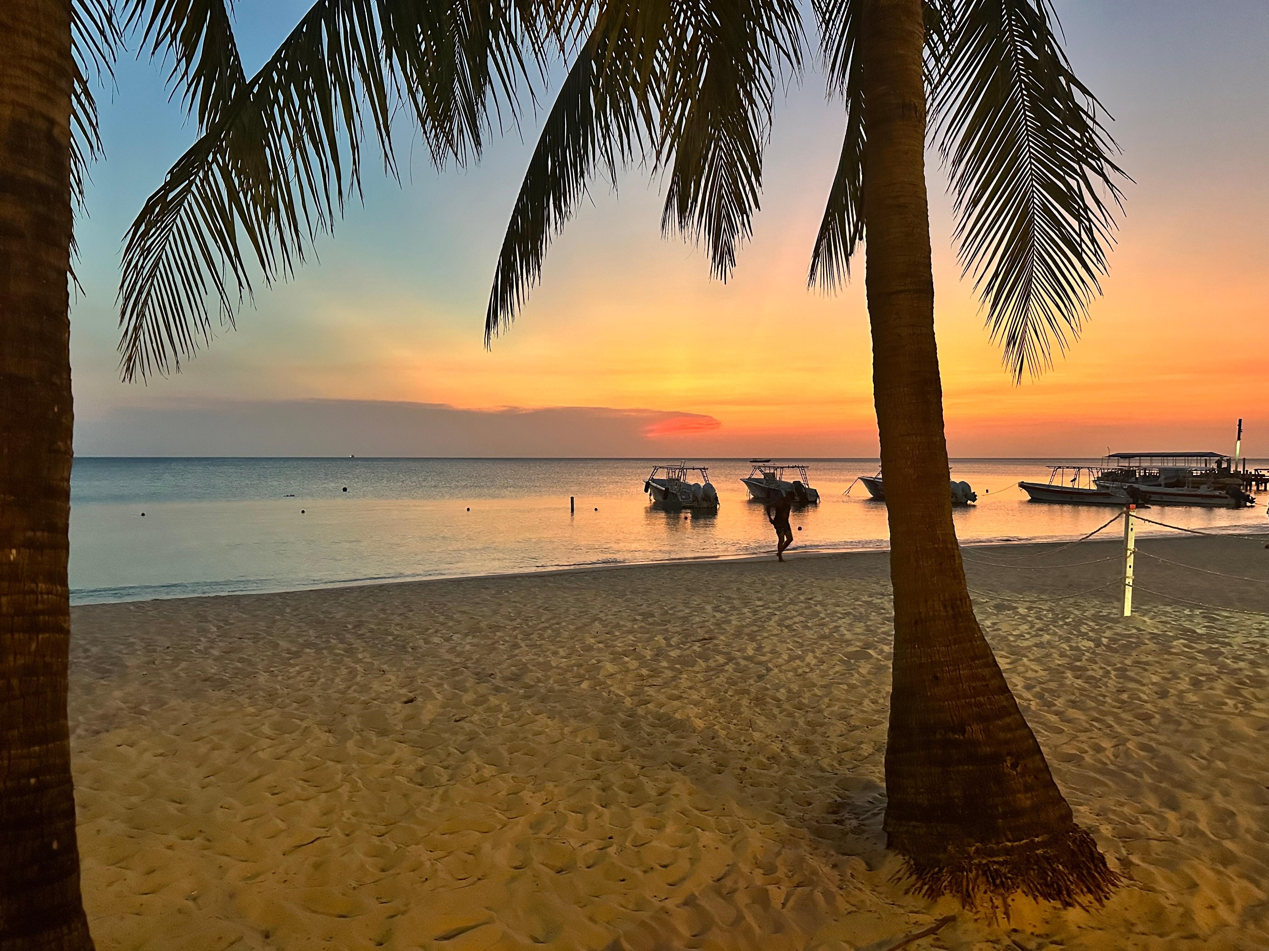 Sunset view 