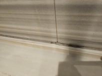 Moldy shower