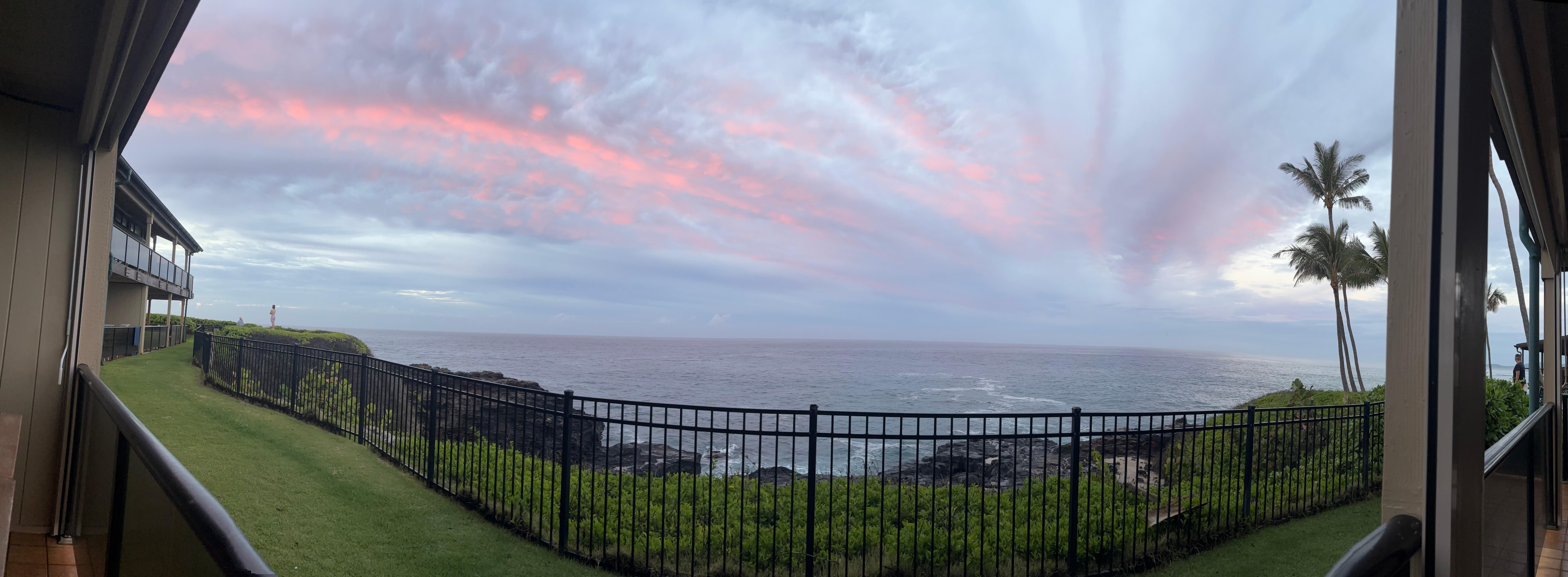 The view from the patio 