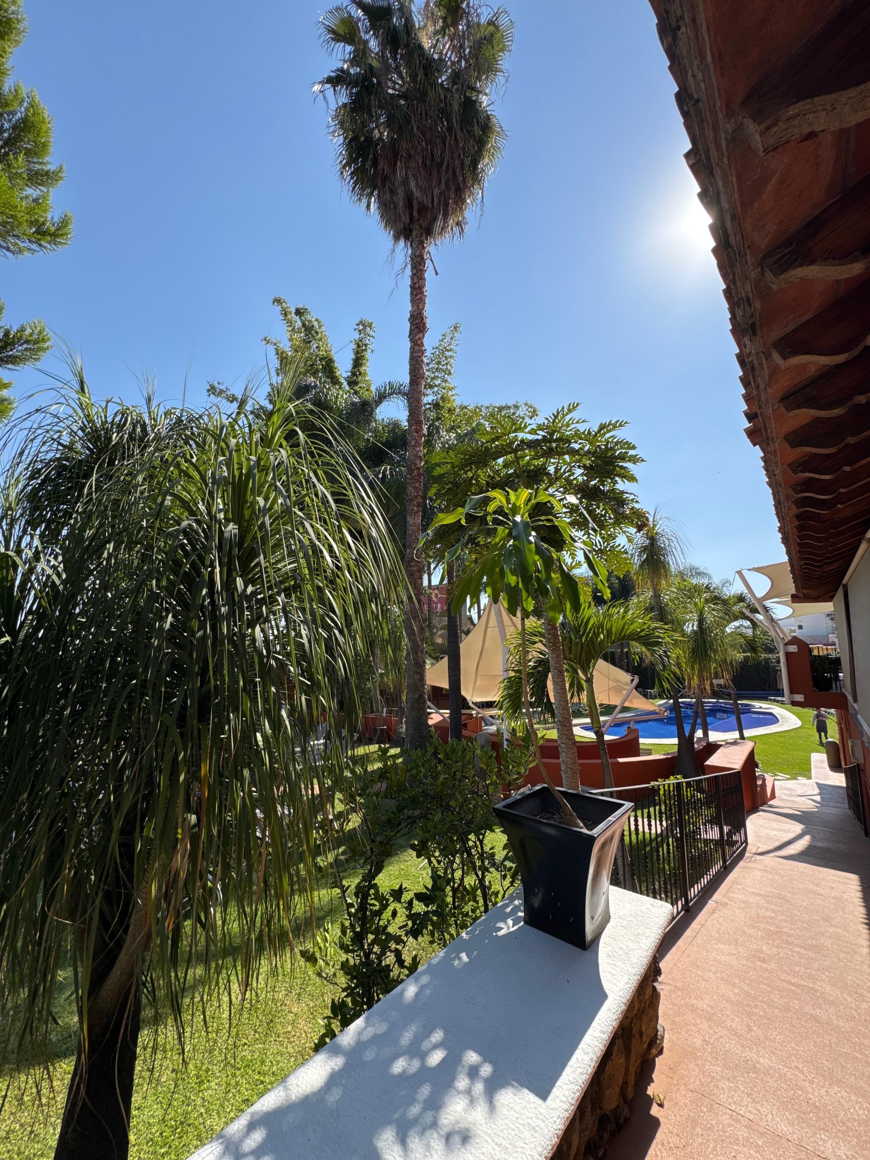 Jardín y alberca muy bonitos y puedes disfrutar de  un fin de semana 