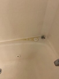 Moldy tub