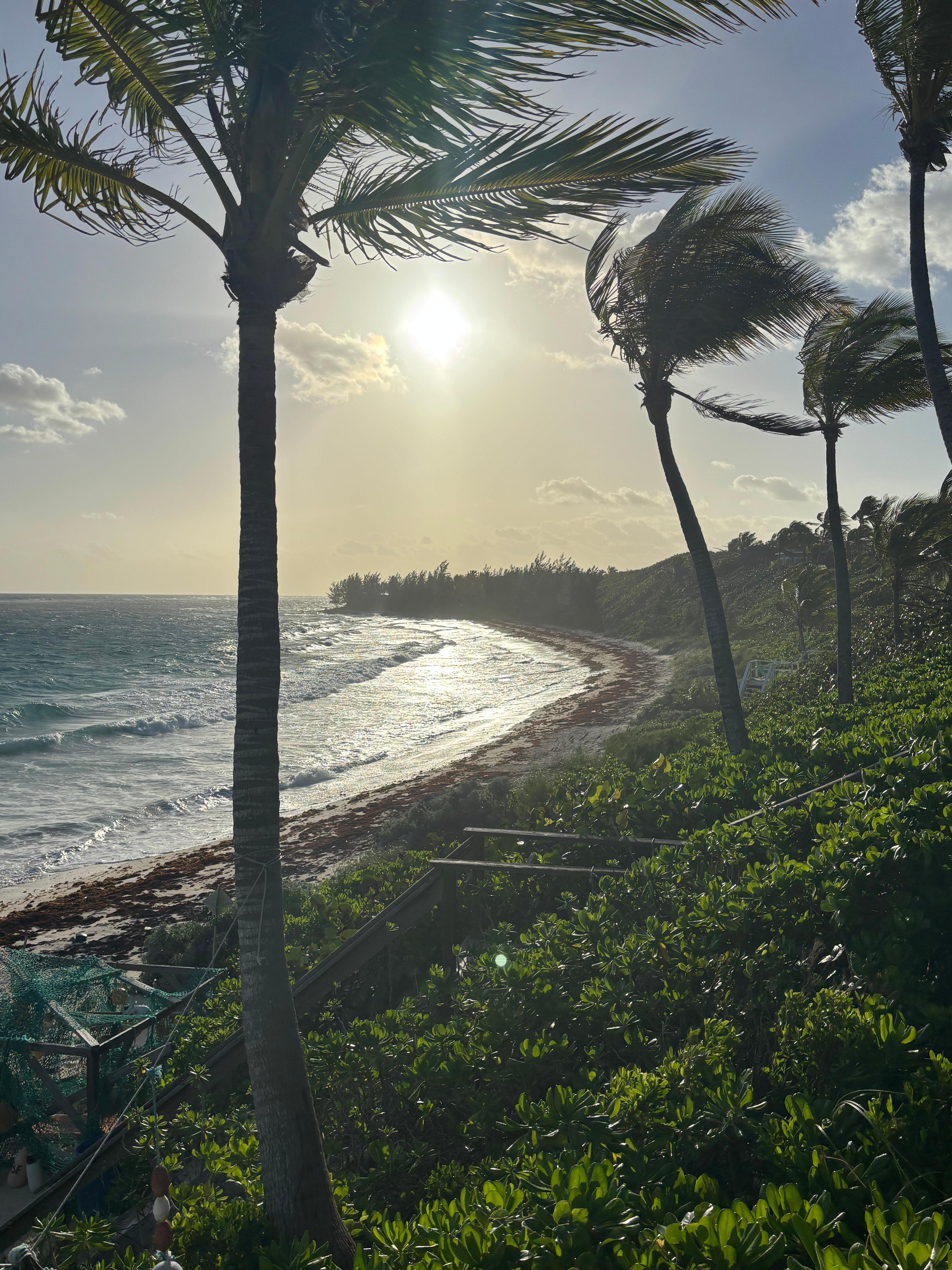Sitting on the bench looking down the beach.