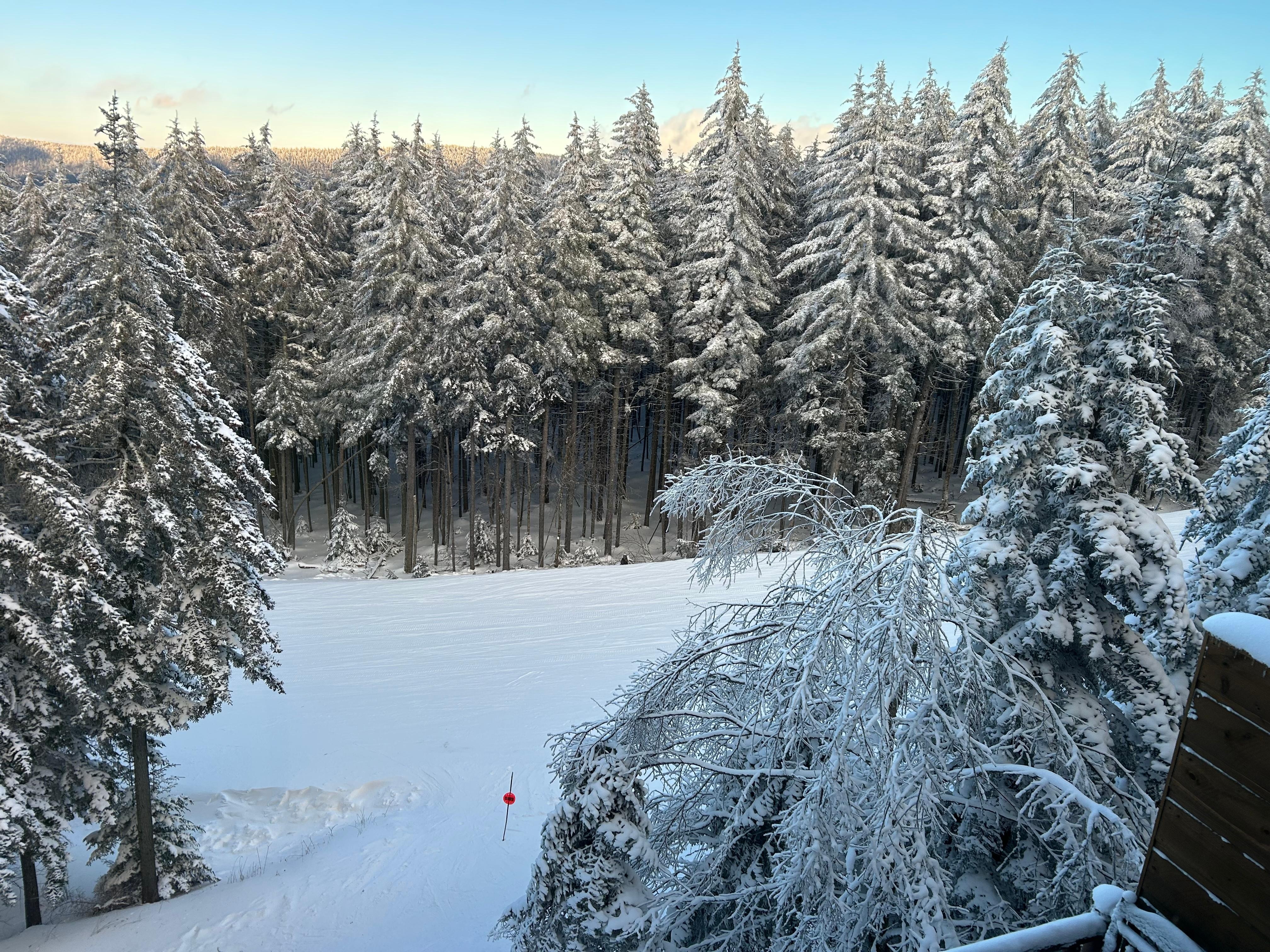 View from master bedroom and main porch
