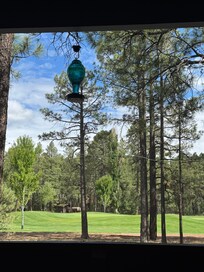 View from the porch.
