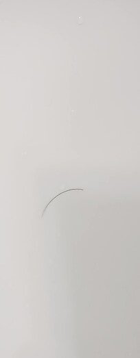 hair in shower