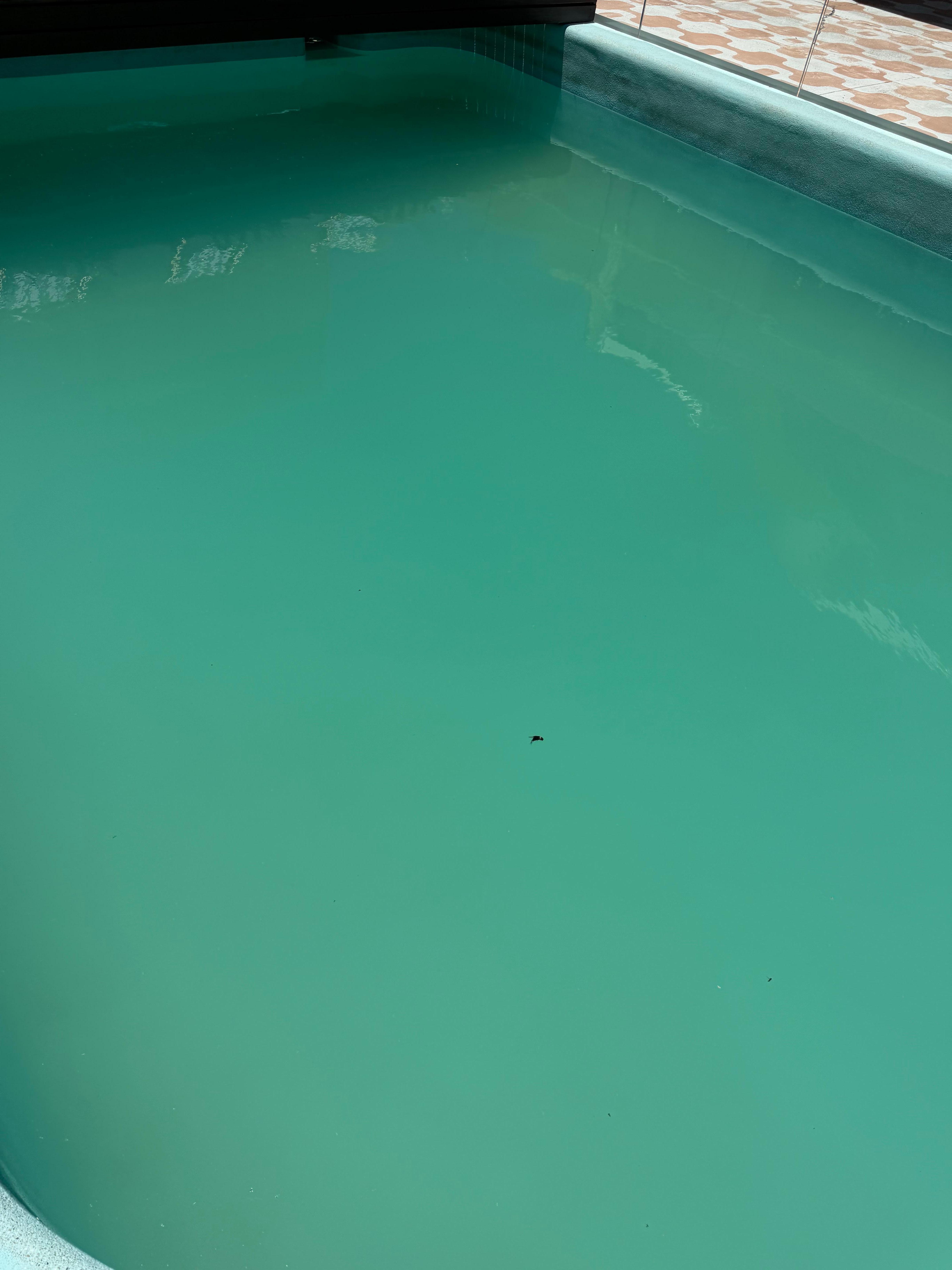 Warning - does not look like the pictures!!! 