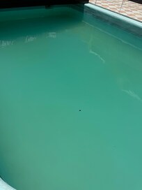 Warning - does not look like the pictures!!!