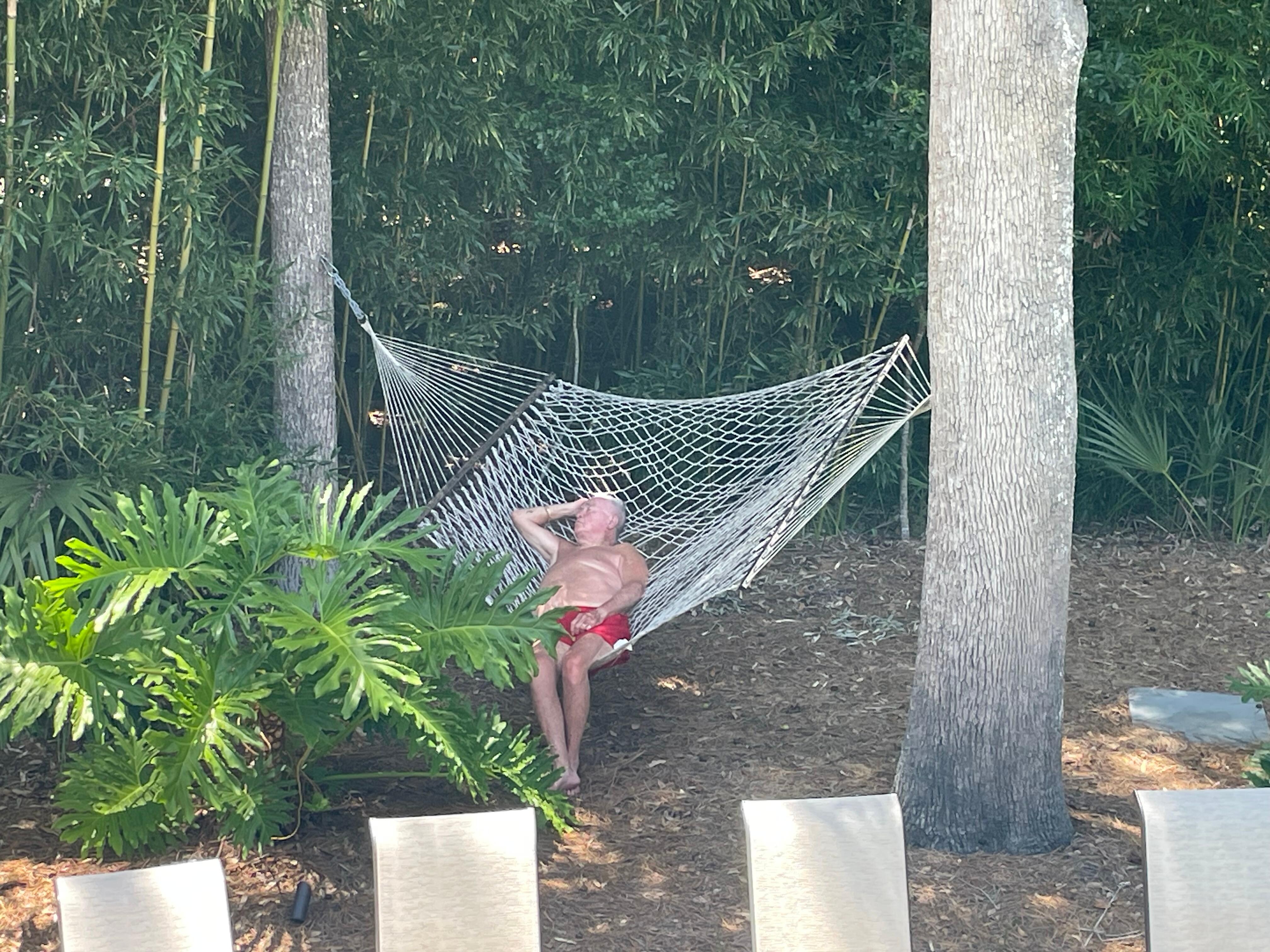 Lounging out by the pool in the hammock. 