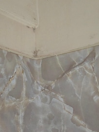 Mold in shower