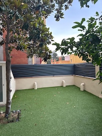 Back yard
