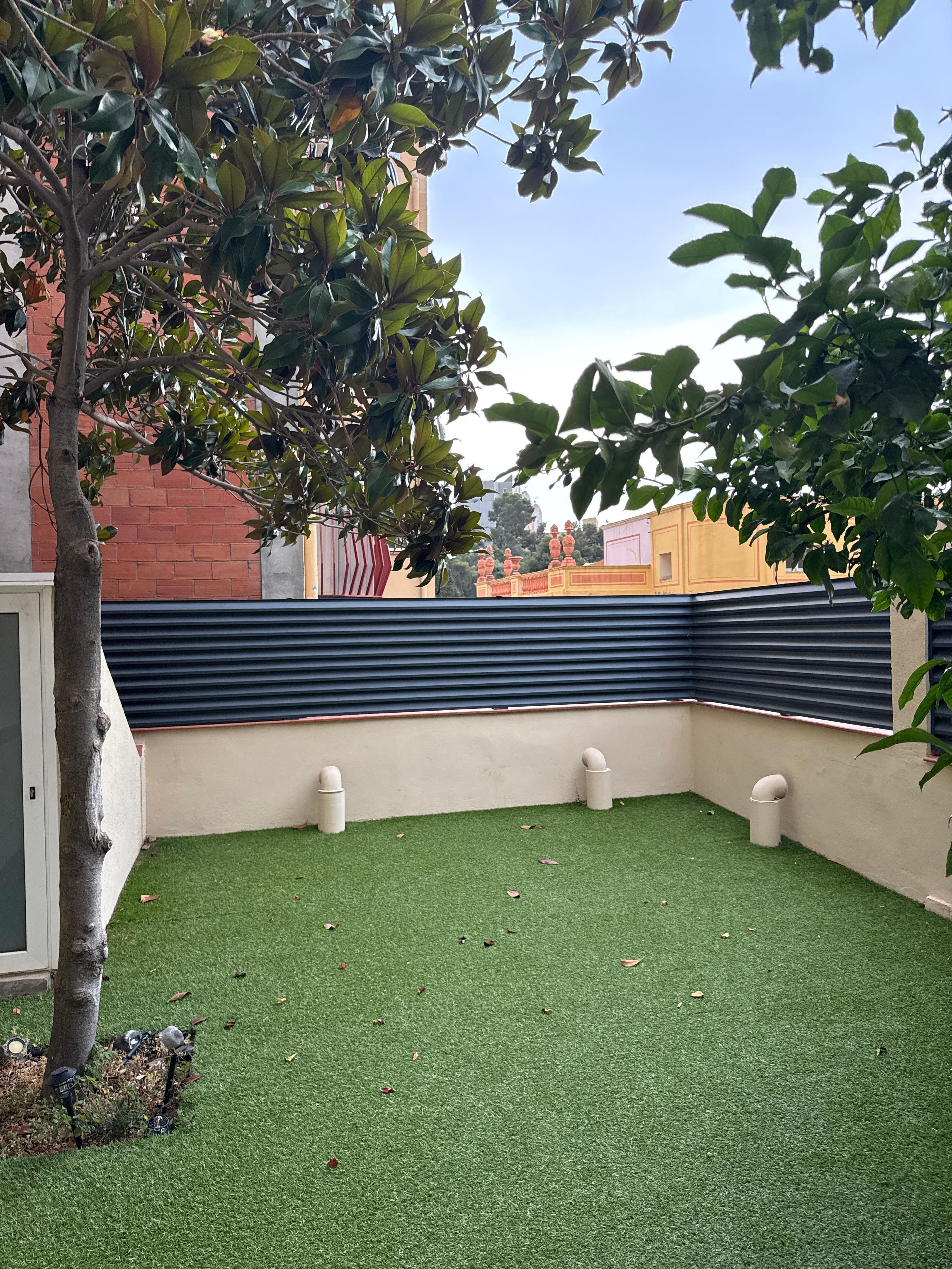 Back yard