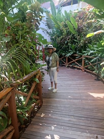 Beautiful walkway