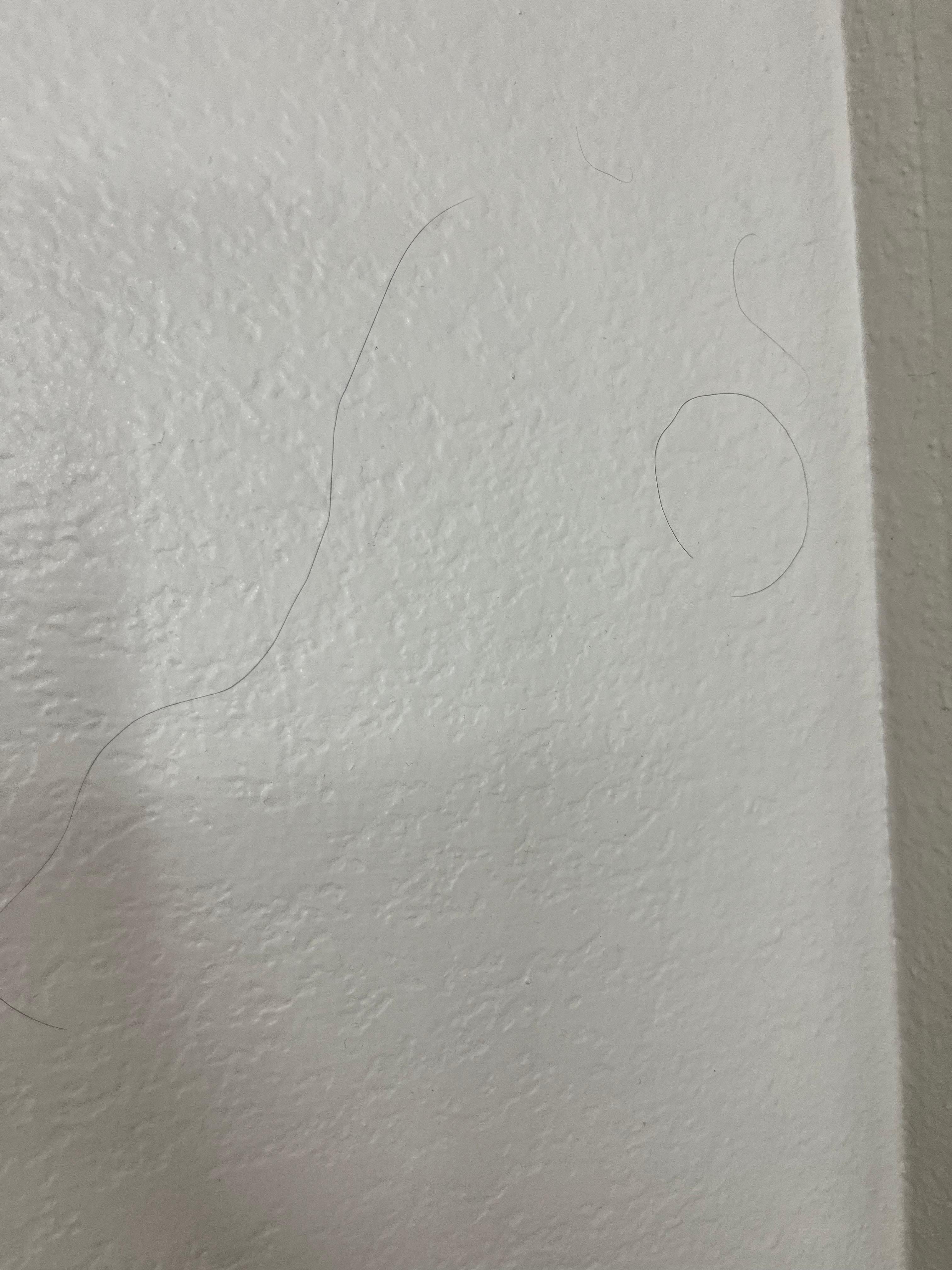Hair stuck to the wall