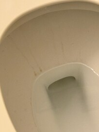 Couldn’t just use a toilet brush? Nope