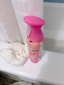 Cucarachas y olor a orina en el Baño y la carpets de la habitación