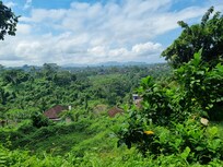 view from the third floor
