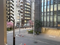 View from the balcony of my room.