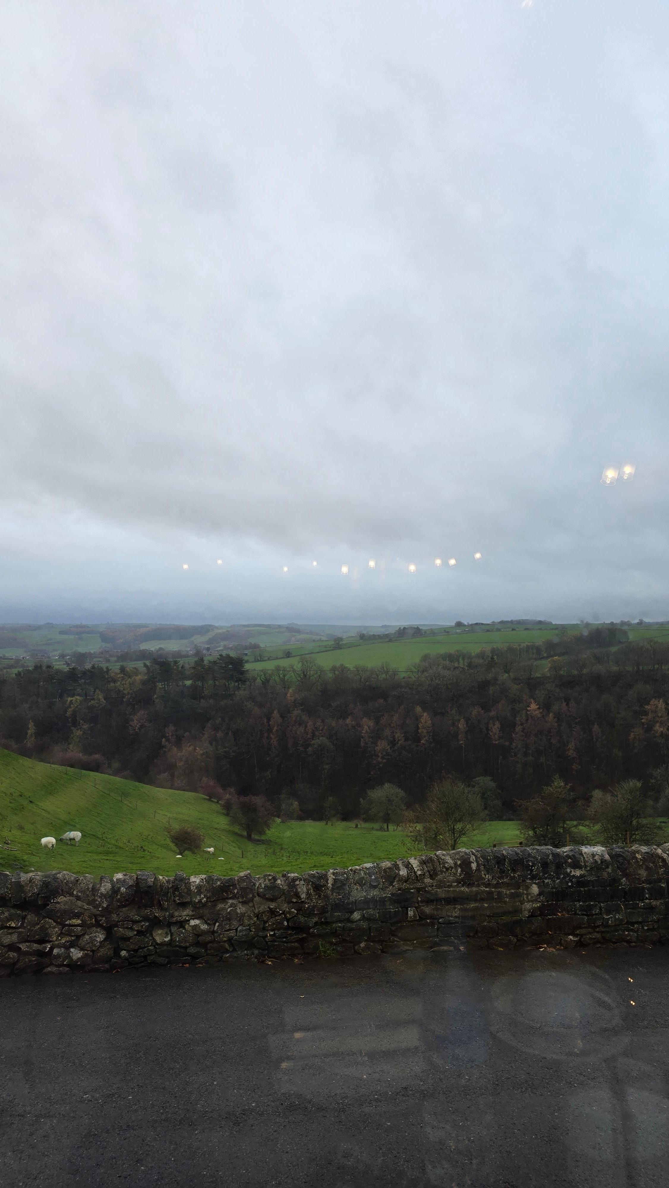 View from the breakfast room. 