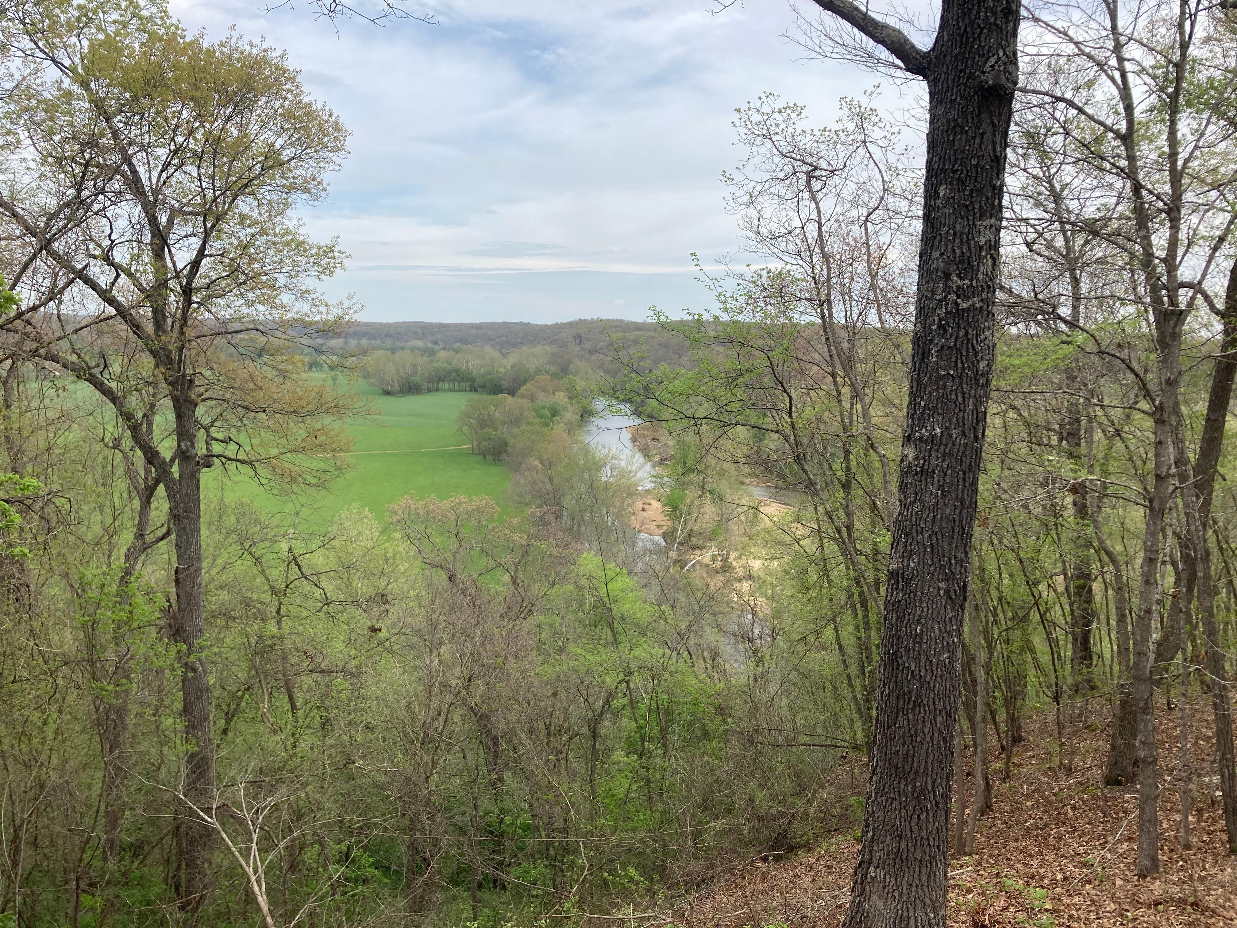 From the back porch! 